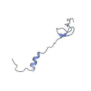 21858_6wnw_B_v1-1
Active 70S ribosome without free 5S rRNA and bound with A- and P- tRNA