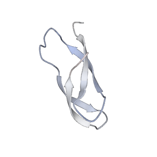 21858_6wnw_C_v1-1
Active 70S ribosome without free 5S rRNA and bound with A- and P- tRNA