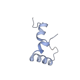21858_6wnw_D_v1-0
Active 70S ribosome without free 5S rRNA and bound with A- and P- tRNA