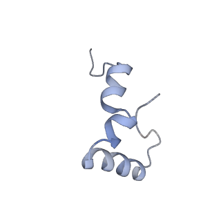 21858_6wnw_D_v1-1
Active 70S ribosome without free 5S rRNA and bound with A- and P- tRNA