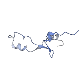 21858_6wnw_E_v1-0
Active 70S ribosome without free 5S rRNA and bound with A- and P- tRNA