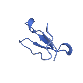 21858_6wnw_F_v1-0
Active 70S ribosome without free 5S rRNA and bound with A- and P- tRNA