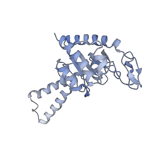 21858_6wnw_G_v1-0
Active 70S ribosome without free 5S rRNA and bound with A- and P- tRNA