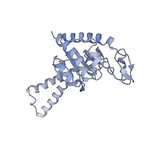 21858_6wnw_G_v1-1
Active 70S ribosome without free 5S rRNA and bound with A- and P- tRNA