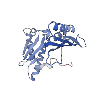21858_6wnw_H_v1-0
Active 70S ribosome without free 5S rRNA and bound with A- and P- tRNA