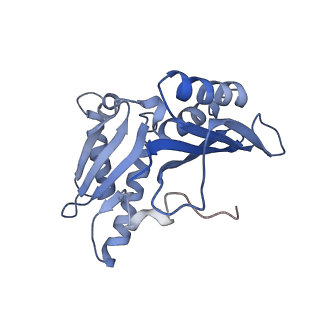 21858_6wnw_H_v1-1
Active 70S ribosome without free 5S rRNA and bound with A- and P- tRNA