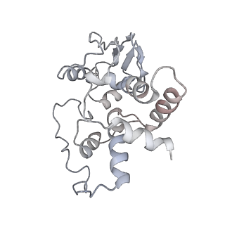 21858_6wnw_I_v1-0
Active 70S ribosome without free 5S rRNA and bound with A- and P- tRNA