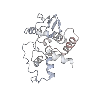 21858_6wnw_I_v1-1
Active 70S ribosome without free 5S rRNA and bound with A- and P- tRNA