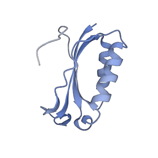 21858_6wnw_K_v1-1
Active 70S ribosome without free 5S rRNA and bound with A- and P- tRNA