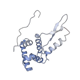 21858_6wnw_L_v1-0
Active 70S ribosome without free 5S rRNA and bound with A- and P- tRNA
