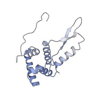 21858_6wnw_L_v1-1
Active 70S ribosome without free 5S rRNA and bound with A- and P- tRNA