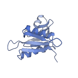 21858_6wnw_M_v1-0
Active 70S ribosome without free 5S rRNA and bound with A- and P- tRNA