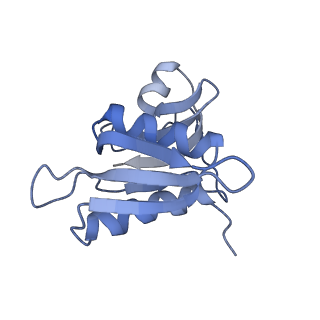 21858_6wnw_M_v1-1
Active 70S ribosome without free 5S rRNA and bound with A- and P- tRNA