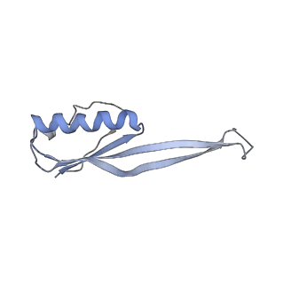 21858_6wnw_O_v1-1
Active 70S ribosome without free 5S rRNA and bound with A- and P- tRNA