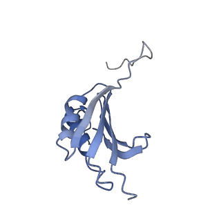 21858_6wnw_P_v1-1
Active 70S ribosome without free 5S rRNA and bound with A- and P- tRNA