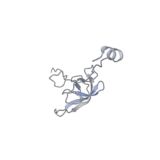 21858_6wnw_Q_v1-0
Active 70S ribosome without free 5S rRNA and bound with A- and P- tRNA