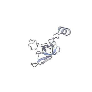 21858_6wnw_Q_v1-1
Active 70S ribosome without free 5S rRNA and bound with A- and P- tRNA