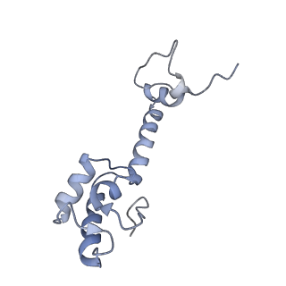 21858_6wnw_R_v1-0
Active 70S ribosome without free 5S rRNA and bound with A- and P- tRNA