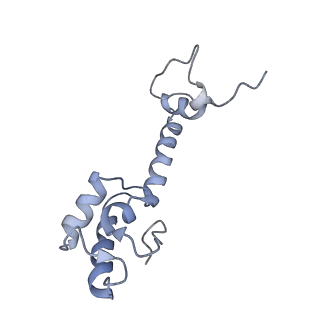 21858_6wnw_R_v1-1
Active 70S ribosome without free 5S rRNA and bound with A- and P- tRNA