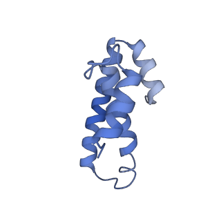 21858_6wnw_T_v1-1
Active 70S ribosome without free 5S rRNA and bound with A- and P- tRNA