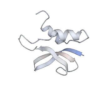 21858_6wnw_U_v1-0
Active 70S ribosome without free 5S rRNA and bound with A- and P- tRNA