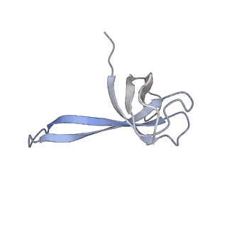 21858_6wnw_V_v1-1
Active 70S ribosome without free 5S rRNA and bound with A- and P- tRNA