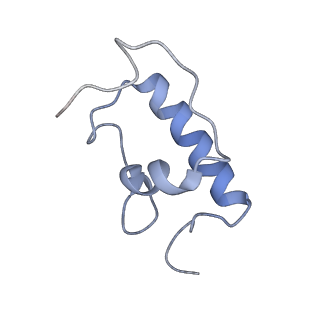 21858_6wnw_W_v1-0
Active 70S ribosome without free 5S rRNA and bound with A- and P- tRNA