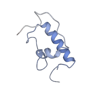 21858_6wnw_W_v1-1
Active 70S ribosome without free 5S rRNA and bound with A- and P- tRNA