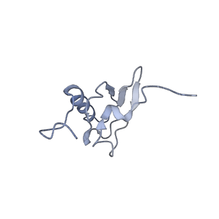 21858_6wnw_X_v1-0
Active 70S ribosome without free 5S rRNA and bound with A- and P- tRNA