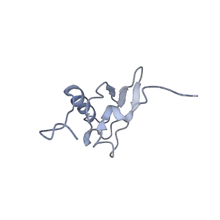 21858_6wnw_X_v1-1
Active 70S ribosome without free 5S rRNA and bound with A- and P- tRNA