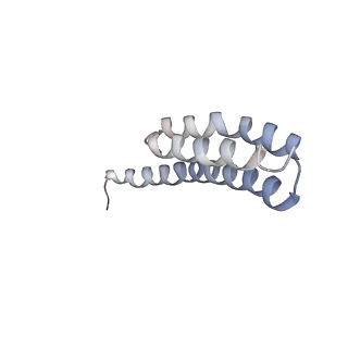 21858_6wnw_Y_v1-1
Active 70S ribosome without free 5S rRNA and bound with A- and P- tRNA