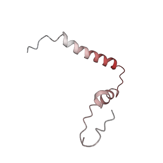 21858_6wnw_Z_v1-1
Active 70S ribosome without free 5S rRNA and bound with A- and P- tRNA