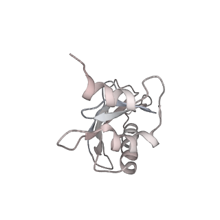 21858_6wnw_a_v1-0
Active 70S ribosome without free 5S rRNA and bound with A- and P- tRNA
