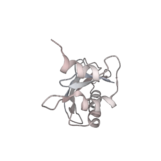 21858_6wnw_a_v1-1
Active 70S ribosome without free 5S rRNA and bound with A- and P- tRNA