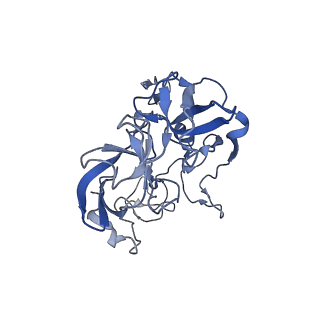 21858_6wnw_b_v1-0
Active 70S ribosome without free 5S rRNA and bound with A- and P- tRNA