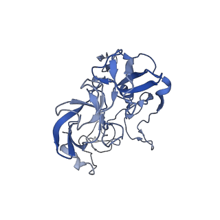21858_6wnw_b_v1-1
Active 70S ribosome without free 5S rRNA and bound with A- and P- tRNA