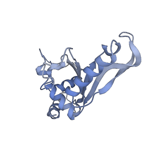 21858_6wnw_e_v1-1
Active 70S ribosome without free 5S rRNA and bound with A- and P- tRNA