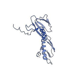 21858_6wnw_f_v1-0
Active 70S ribosome without free 5S rRNA and bound with A- and P- tRNA