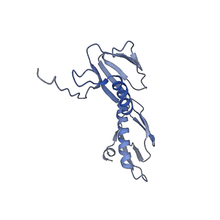 21858_6wnw_f_v1-1
Active 70S ribosome without free 5S rRNA and bound with A- and P- tRNA