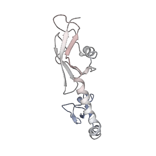 21858_6wnw_g_v1-0
Active 70S ribosome without free 5S rRNA and bound with A- and P- tRNA