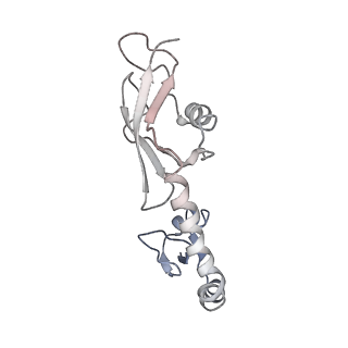 21858_6wnw_g_v1-1
Active 70S ribosome without free 5S rRNA and bound with A- and P- tRNA