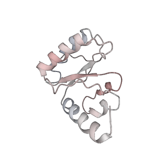 21858_6wnw_h_v1-0
Active 70S ribosome without free 5S rRNA and bound with A- and P- tRNA