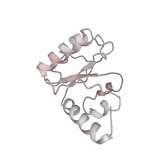 21858_6wnw_h_v1-1
Active 70S ribosome without free 5S rRNA and bound with A- and P- tRNA