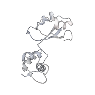 21858_6wnw_i_v1-0
Active 70S ribosome without free 5S rRNA and bound with A- and P- tRNA