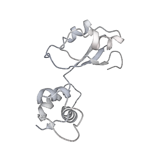 21858_6wnw_i_v1-1
Active 70S ribosome without free 5S rRNA and bound with A- and P- tRNA