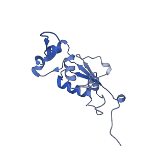 21858_6wnw_j_v1-0
Active 70S ribosome without free 5S rRNA and bound with A- and P- tRNA