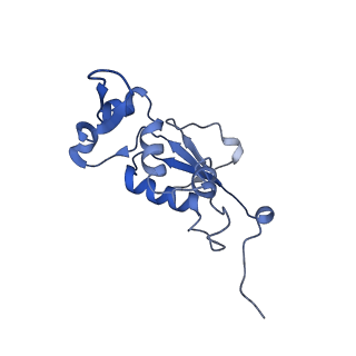 21858_6wnw_j_v1-1
Active 70S ribosome without free 5S rRNA and bound with A- and P- tRNA