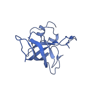 21858_6wnw_k_v1-0
Active 70S ribosome without free 5S rRNA and bound with A- and P- tRNA