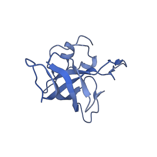 21858_6wnw_k_v1-1
Active 70S ribosome without free 5S rRNA and bound with A- and P- tRNA