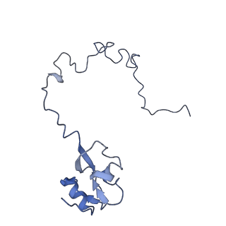 21858_6wnw_l_v1-1
Active 70S ribosome without free 5S rRNA and bound with A- and P- tRNA